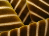 SHD-J02 velvet fabric