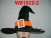Witch hat